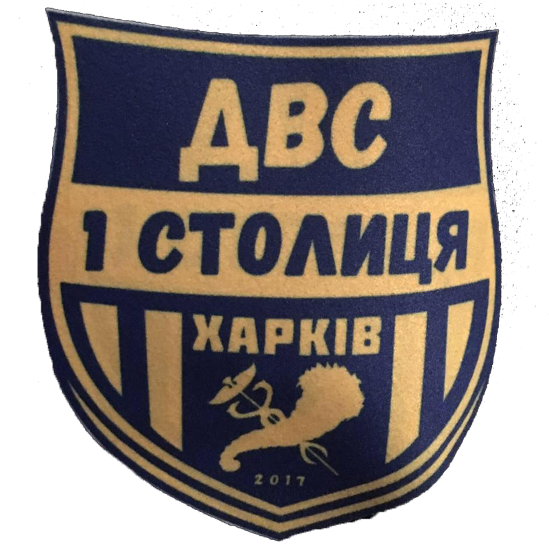 team-logo